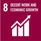 SDG 8
